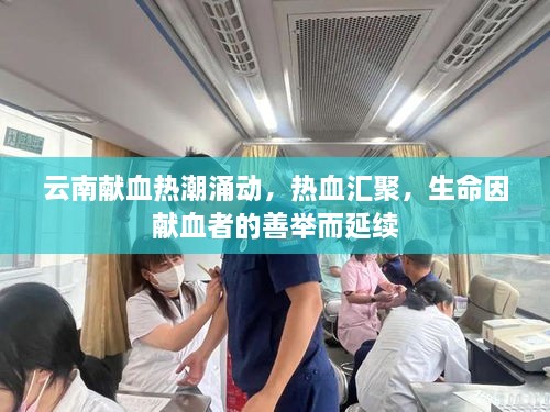 云南獻(xiàn)血熱潮涌動(dòng)，熱血匯聚，生命因獻(xiàn)血者的善舉而延續(xù)
