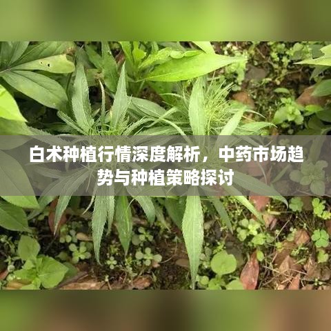 新聞動態(tài) 第55頁