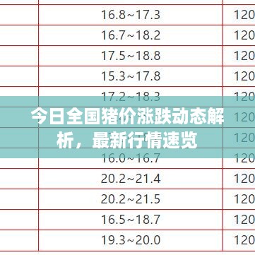 今日全國豬價漲跌動態(tài)解析，最新行情速覽