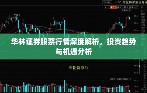 華林證券股票行情深度解析，投資趨勢與機遇分析