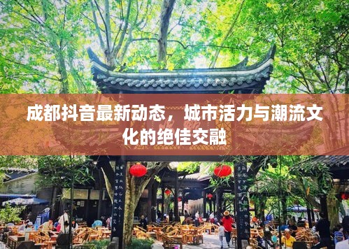 成都抖音最新動態(tài)，城市活力與潮流文化的絕佳交融