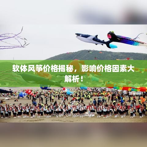 軟體風(fēng)箏價格揭秘，影響價格因素大解析！