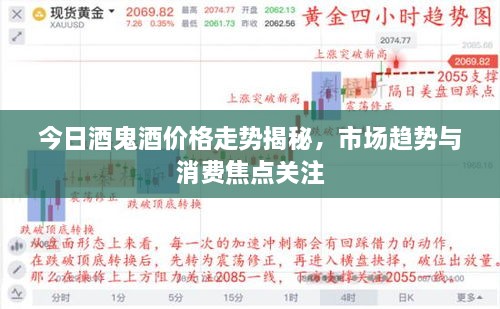 今日酒鬼酒價格走勢揭秘，市場趨勢與消費焦點關注
