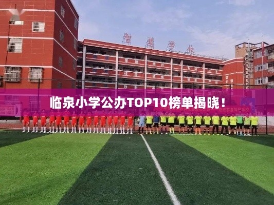 臨泉小學(xué)公辦TOP10榜單揭曉！