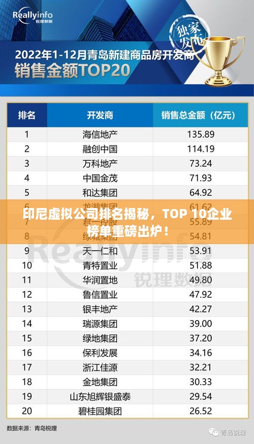 印尼虛擬公司排名揭秘，TOP 10企業(yè)榜單重磅出爐！