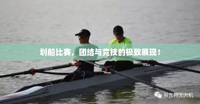 劃船比賽，團結(jié)與競技的極致展現(xiàn)！
