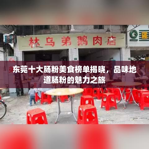 東莞十大腸粉美食榜單揭曉，品味地道腸粉的魅力之旅