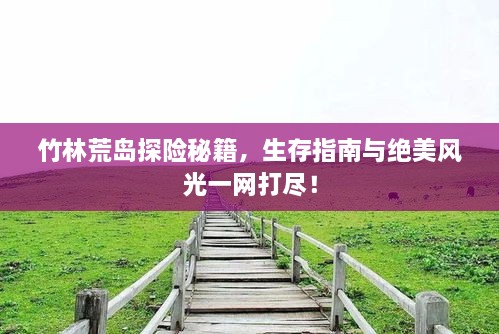 竹林荒島探險秘籍，生存指南與絕美風光一網打盡！
