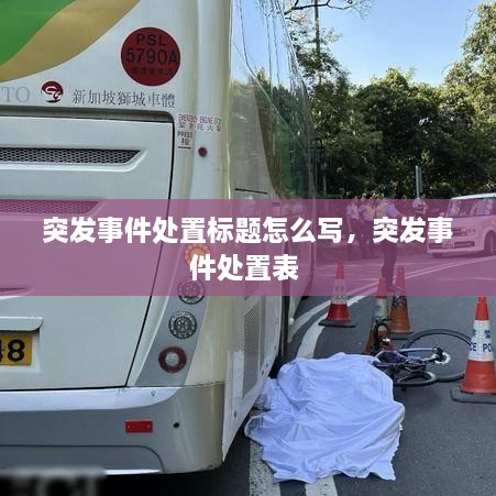 突發(fā)事件處置標(biāo)題怎么寫，突發(fā)事件處置表 