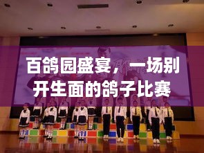 百鴿園盛宴，一場別開生面的鴿子比賽盛宴！