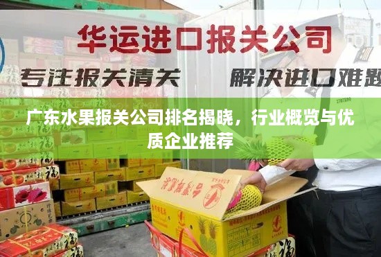 廣東水果報關(guān)公司排名揭曉，行業(yè)概覽與優(yōu)質(zhì)企業(yè)推薦