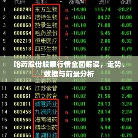 哈藥股份股票行情全面解讀，走勢、數(shù)據(jù)與前景分析