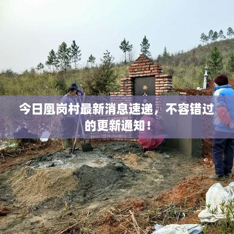 今日凰崗村最新消息速遞，不容錯(cuò)過的更新通知！