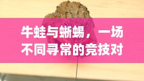 牛蛙與蜥蜴，一場不同尋常的競技對決