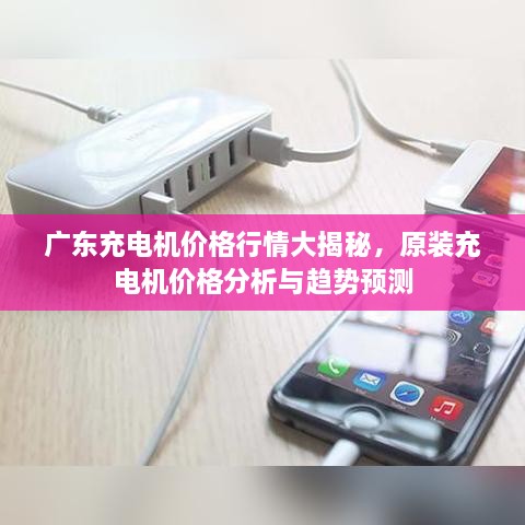 廣東充電機價格行情大揭秘，原裝充電機價格分析與趨勢預測