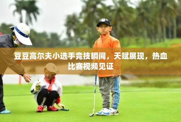 豆豆高爾夫小選手競技瞬間，天賦展現(xiàn)，熱血比賽視頻見證