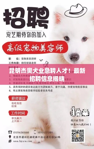 昆明杰奧犬業(yè)急聘人才！最新招聘信息揭曉