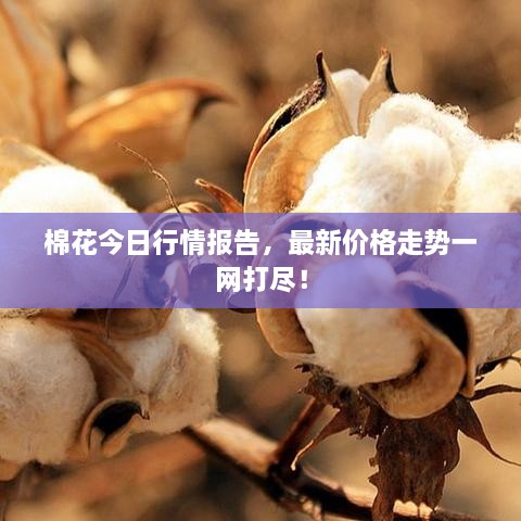 產品展示 第45頁