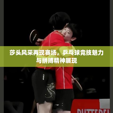 莎頭風采再現(xiàn)賽場，乒乓球競技魅力與拼搏精神展現(xiàn)