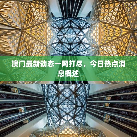 澳門最新動(dòng)態(tài)一網(wǎng)打盡，今日熱點(diǎn)消息概述