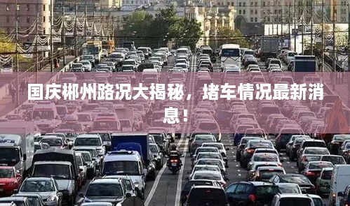 國慶郴州路況大揭秘，堵車情況最新消息！