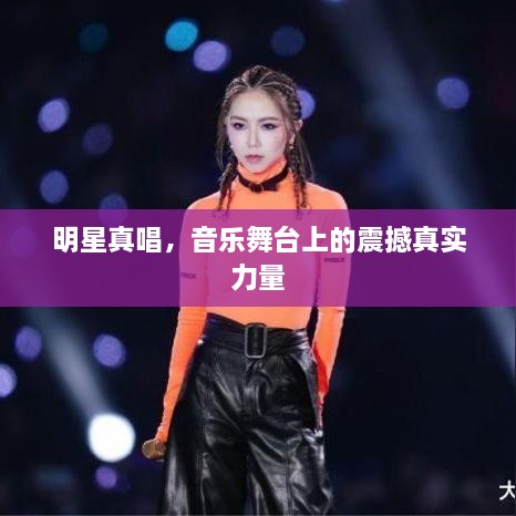 明星真唱，音樂舞臺上的震撼真實(shí)力量