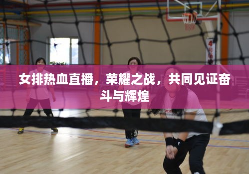 女排熱血直播，榮耀之戰(zhàn)，共同見證奮斗與輝煌