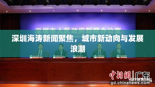 深圳海濤新聞聚焦，城市新動(dòng)向與發(fā)展浪潮