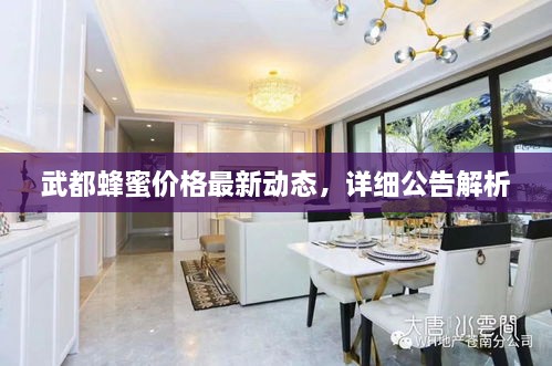 武都蜂蜜價(jià)格最新動(dòng)態(tài)，詳細(xì)公告解析