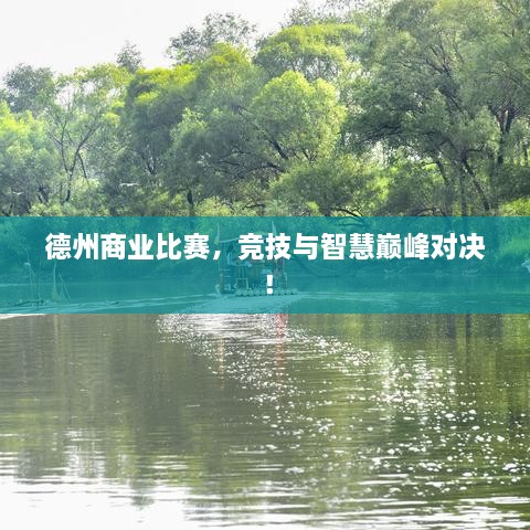 德州商業(yè)比賽，競技與智慧巔峰對決！