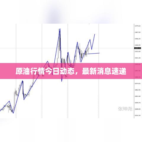 原油行情今日動態(tài)，最新消息速遞