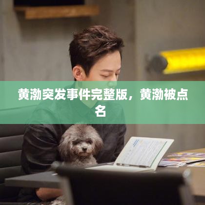 黃渤突發(fā)事件完整版，黃渤被點名 