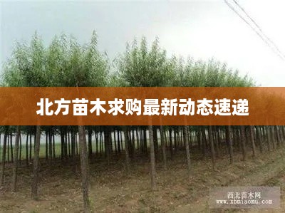 解決方案 第38頁(yè)