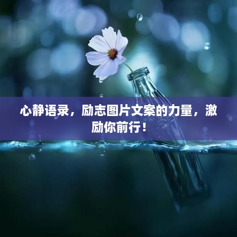 心靜語錄，勵志圖片文案的力量，激勵你前行！