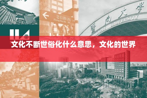 文化不斷世俗化什么意思，文化的世界 