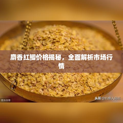 麝香紅鯽價格揭秘，全面解析市場行情