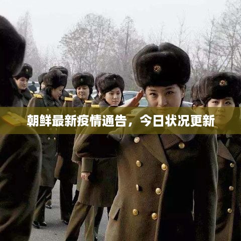 朝鮮最新疫情通告，今日狀況更新