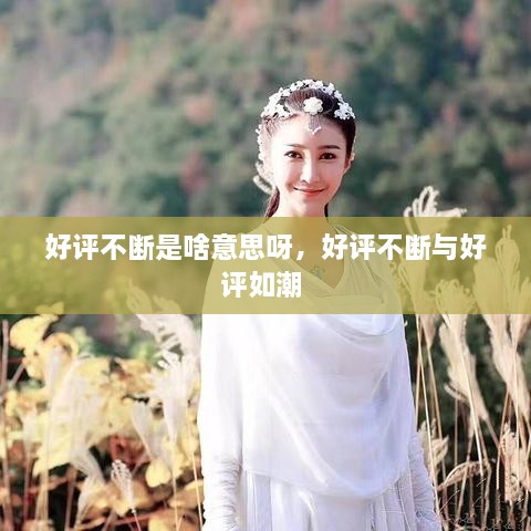 好評不斷是啥意思呀，好評不斷與好評如潮 