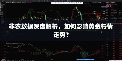 非農(nóng)數(shù)據(jù)深度解析，如何影響黃金行情走勢(shì)？