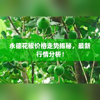 永德花椒價(jià)格走勢(shì)揭秘，最新行情分析！