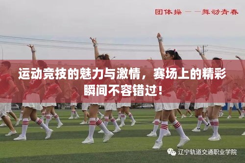 運(yùn)動(dòng)競(jìng)技的魅力與激情，賽場(chǎng)上的精彩瞬間不容錯(cuò)過(guò)！