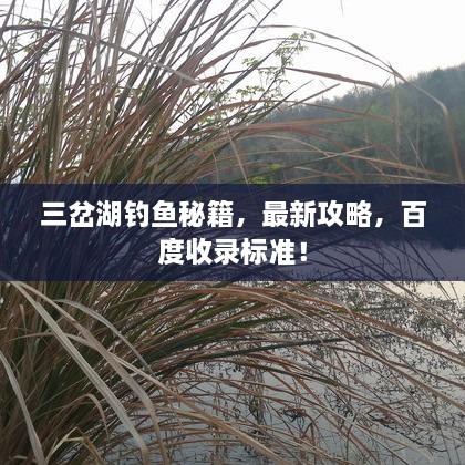 三岔湖釣魚秘籍，最新攻略，百度收錄標(biāo)準(zhǔn)！