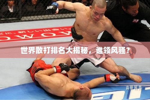 世界散打排名大揭秘，誰領(lǐng)風(fēng)騷？