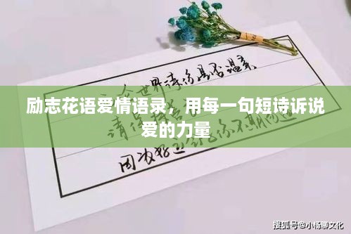 勵志花語愛情語錄，用每一句短詩訴說愛的力量