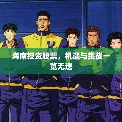 海南投資股票，機(jī)遇與挑戰(zhàn)一覽無(wú)遺