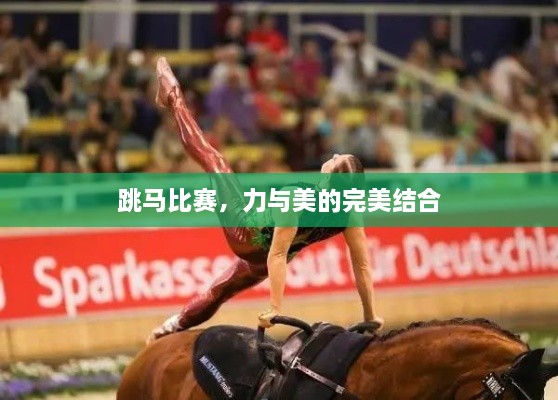 跳馬比賽，力與美的完美結(jié)合