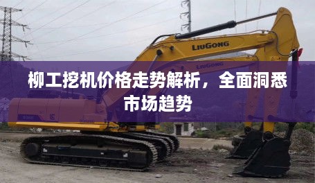 柳工挖機(jī)價(jià)格走勢(shì)解析，全面洞悉市場(chǎng)趨勢(shì)