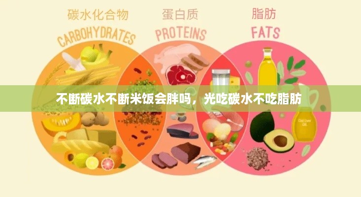 不斷碳水不斷米飯會胖嗎，光吃碳水不吃脂肪 