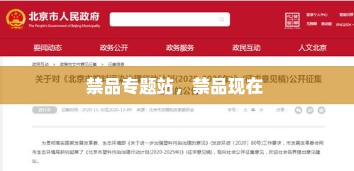 禁品專題站，禁品現(xiàn)在 