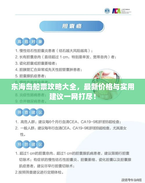 東海島船票攻略大全，最新價格與實用建議一網打盡！